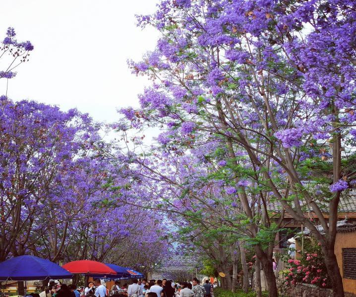 1745912608218298.jpg 2.jpg