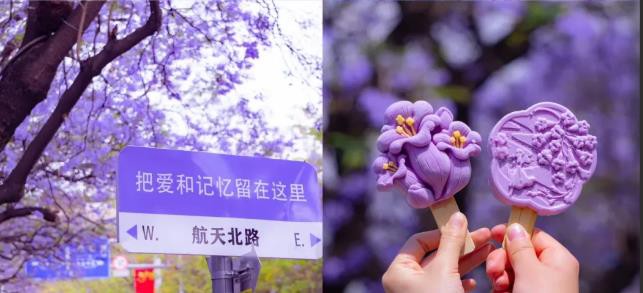 1745912731307895.jpg 7.jpg